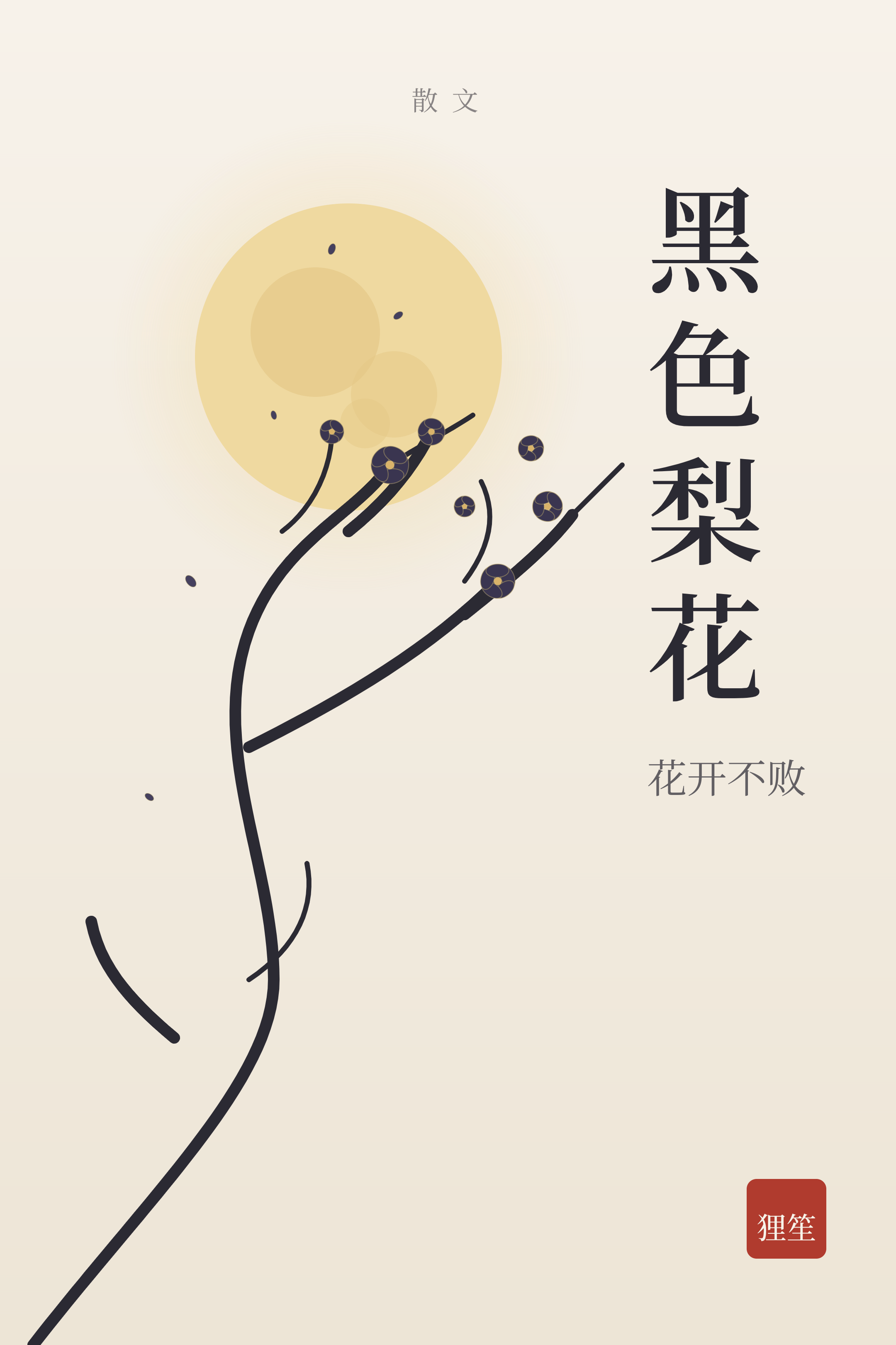 黑色梨花封面